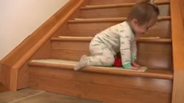 WESTMINSTER COLORADO-2015: Little Baby Girl in Onesie Crawling Up Wooden Stairs