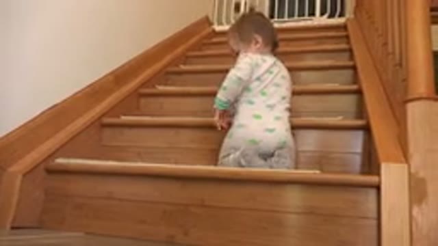 WESTMINSTER COLORADO-2015: Toddler Contemplating The Depths Of Perception While Climbing Stairs