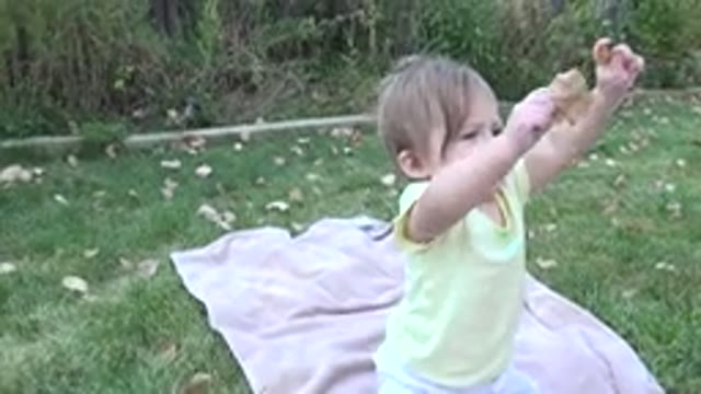 WESTMINSTER COLORADO-2015: A Wonderful Baby Playing With A Dog