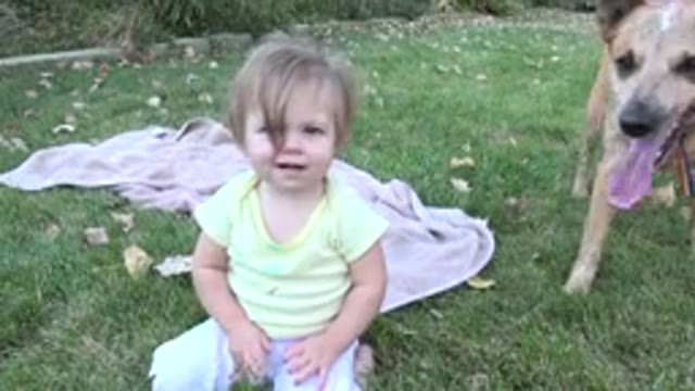 WESTMINSTER COLORADO-2015: Baby Sitting In The Grass With Dog Friend