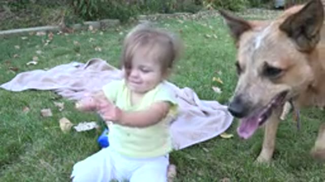 WESTMINSTER COLORADO-2015: Child And Dog Playing In Backyard
