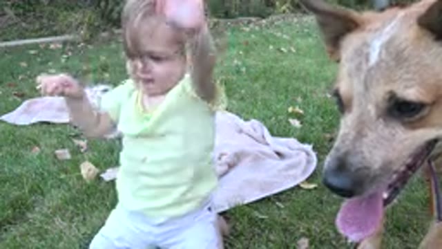 WESTMINSTER COLORADO-2015: Happy Little Girl Waving Her Arms Outside On The Grass