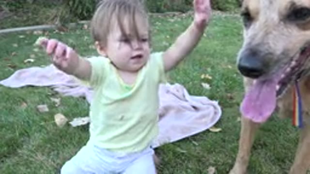 WESTMINSTER COLORADO-2015: Family Playing With Baby And Dog In The Garden