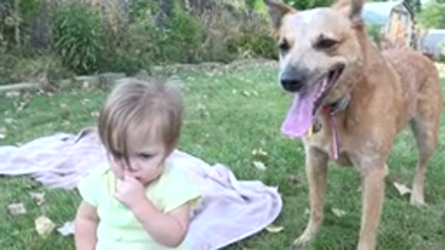 WESTMINSTER COLORADO-2015: Young Child And Tired Dog Relaxes In The Backyard Of