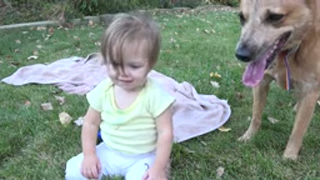 WESTMINSTER COLORADO-2015: Person Playing With Baby Sitting On The Grass