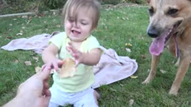 WESTMINSTER COLORADO-2015: Child Is Given A Leaf And Smiles After Dropping It