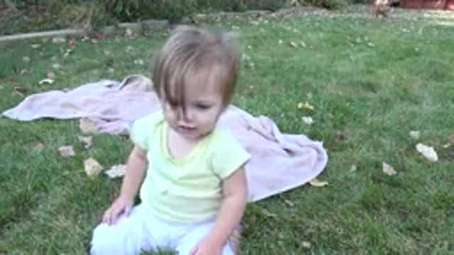 WESTMINSTER COLORADO-2015: Baby Crawling In Yard While Dog Plays Fetch