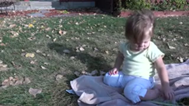 WESTMINSTER COLORADO-2015: Baby Sitting In A Yard On The Grass With Leaves