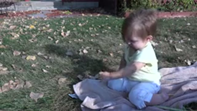 WESTMINSTER COLORADO-2015: Little Girl Sitting in Yard Playing with Leaves