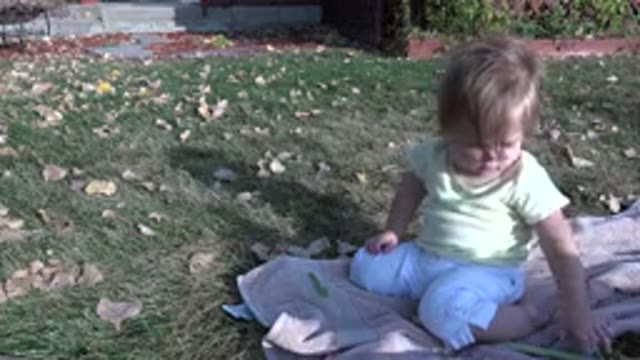 WESTMINSTER COLORADO-2015: Happy Cute Blond Boy Plays in the Sunlit Garden