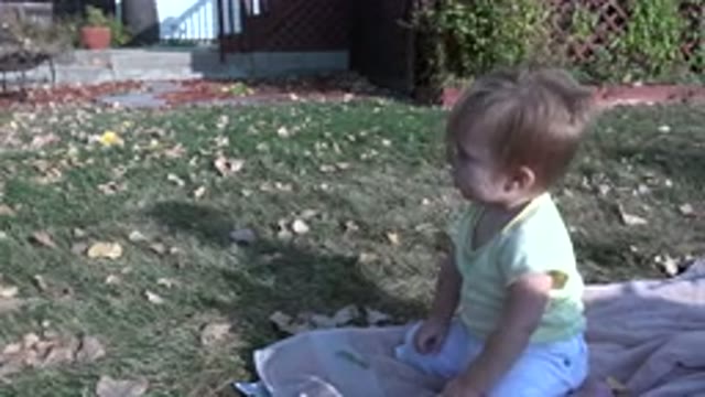 WESTMINSTER COLORADO-2015: Little Baby Sitting In A Yard And Playing On The Grass