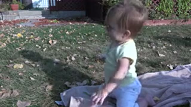 WESTMINSTER COLORADO-2015: Baby Girl Plays In Backyard As Someone Throws