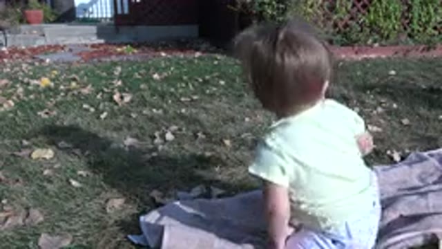 WESTMINSTER COLORADO-2015: Toddler Wearing Green Shirt Sits On Tan Blanket On A Sunny Day