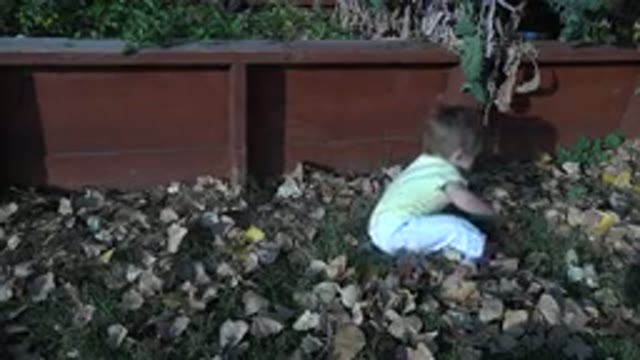 WESTMINSTER COLORADO-2015: Baby Plays With Rocks Outside By Themselves While Mom