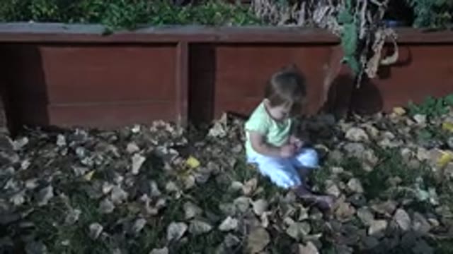 WESTMINSTER COLORADO-2015: Baby Playing In Backyard