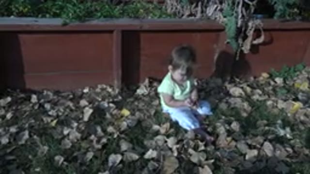 WESTMINSTER COLORADO-2015: A Small Baby Plays With Rocks Outside By Themselves
