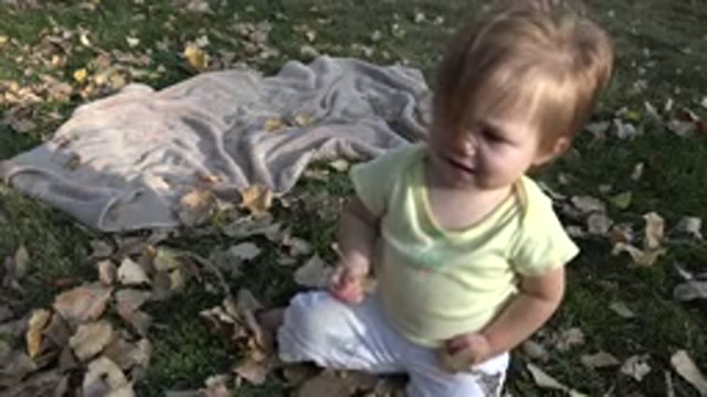 WESTMINSTER COLORADO-2015: Little Infant Playing With Leaves On Green Grass