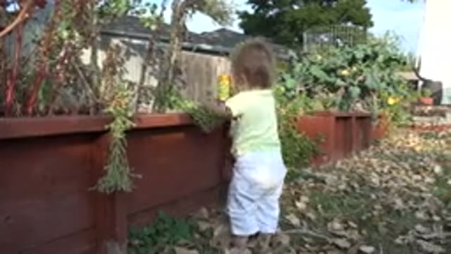 WESTMINSTER COLORADO-2015: White Child Standing in Grass Dry Leaves Leaning Against Wall