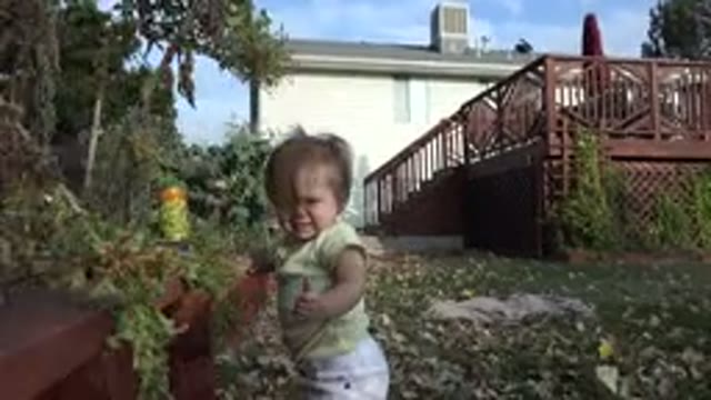 WESTMINSTER COLORADO-2015: Little Girl In A Yard Playing On The Grass With