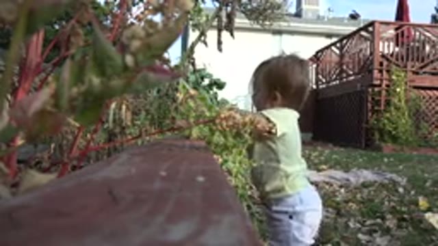 WESTMINSTER COLORADO-2015: Little Girl Standing in a Yard of a House with Grass