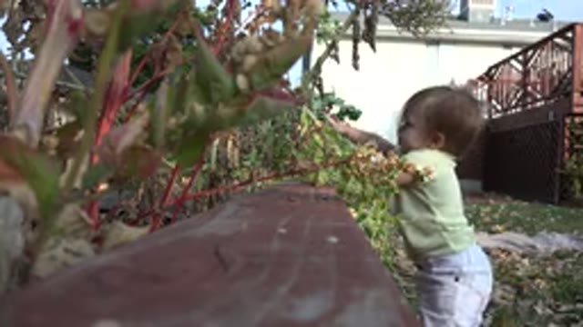 WESTMINSTER COLORADO-2015: Child Playing In The Backyard And Took A Can That Was
