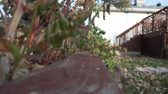 WESTMINSTER COLORADO-2015: A Child With Blonde Hair Emerges From Under A Red Bench