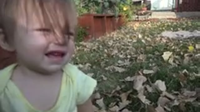 WESTMINSTER COLORADO-2015: Filming A Cute Baby Pressing For The First Time