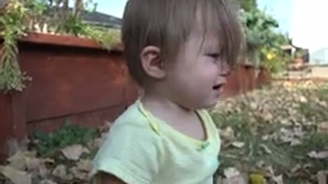 WESTMINSTER COLORADO-2015: Visibly Stressed Toddler Reaching for Toy in Autumn Backyard
