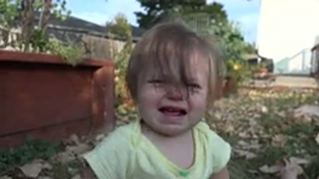 WESTMINSTER COLORADO-2015: Sorrowful Blond Baby Cries In Backyard