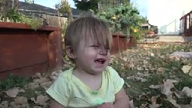 WESTMINSTER COLORADO-2015: Upset Baby Crying Outdoors