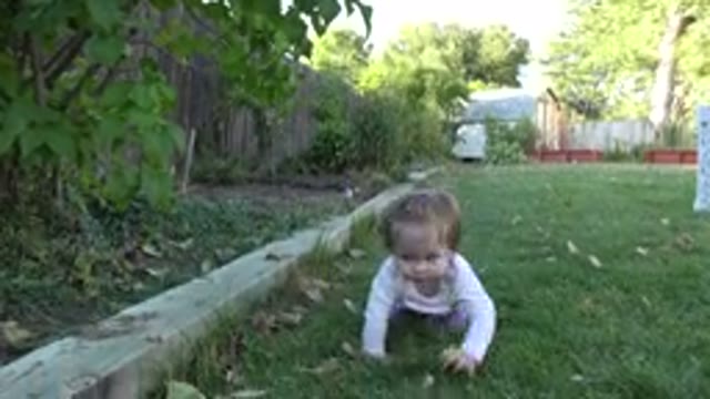 WESTMINSTER COLORADO-2015: Baby Playing In Backyard Looking At The Camera And