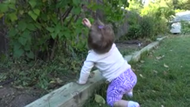 WESTMINSTER COLORADO-2015: A Baby Enjoying Nature and Playing with a Leaf