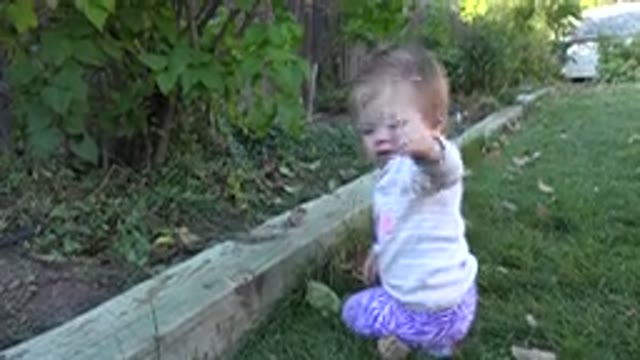 WESTMINSTER COLORADO-2015: Young Baby Playing With Leaves Outdoors