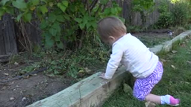 WESTMINSTER COLORADO-2015: Cool Outdoor Baby Inspecting The Outside World With