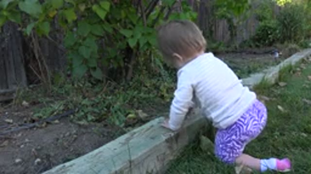 WESTMINSTER COLORADO-2015: Adventurous Baby Attempts To Climb But Ultimately Fails