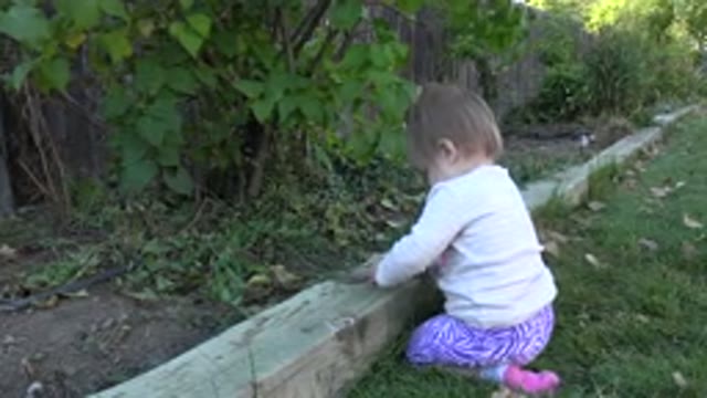 WESTMINSTER COLORADO-2015: Baby Girl Sitting Next To Raised Garden Bed And