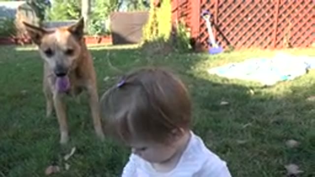 WESTMINSTER COLORADO-2015: Baby Girl Putting Something On Grass In Garden