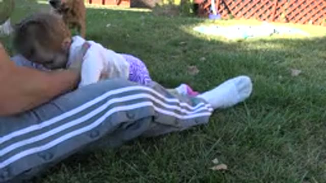 WESTMINSTER COLORADO-2015: A Small Baby Plays Outside With Mom As A Dog Runs