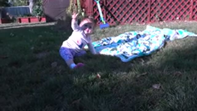 WESTMINSTER COLORADO-2015: Baby Playing And Crawling