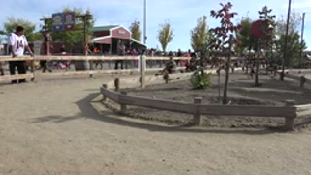 BRIGHTON COLORADO-2015: Children In Park Playing Race With Pedal Carts In The