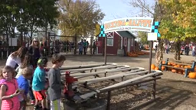 BRIGHTON COLORADO-2015: Kids With Their Moms Playing Outside With A Strange