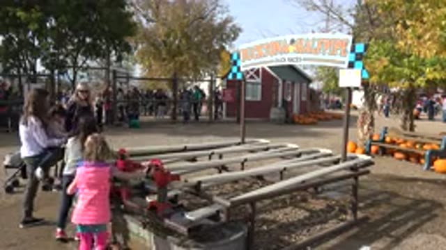 BRIGHTON COLORADO-2015: Children Having Fun On A Raised Platform In The Park