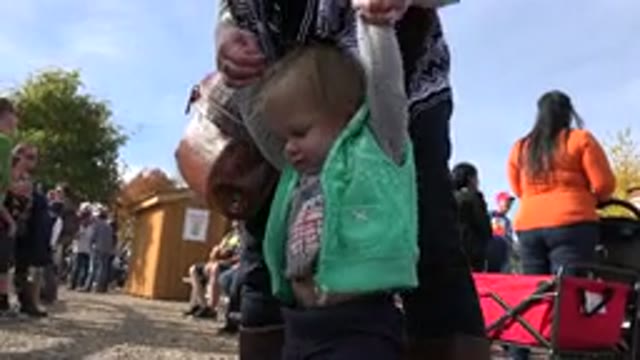 BRIGHTON COLORADO-2015: Baby Enjoying A Park With His Family And Learning To Walk