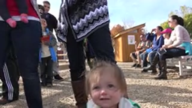 BRIGHTON COLORADO-2015: Toddler Wearing Green Shirt Sits Near Person Wearing Brown Boots