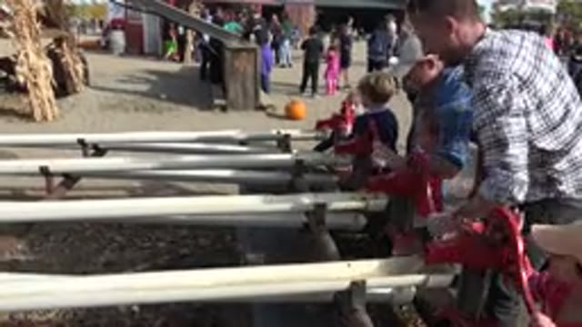 BRIGHTON COLORADO-2015: Competition With Parents And Children To Fill Tanks With Hand Pumps