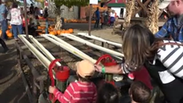 BRIGHTON COLORADO-2015: Family Playing In A Park With Farm Fun