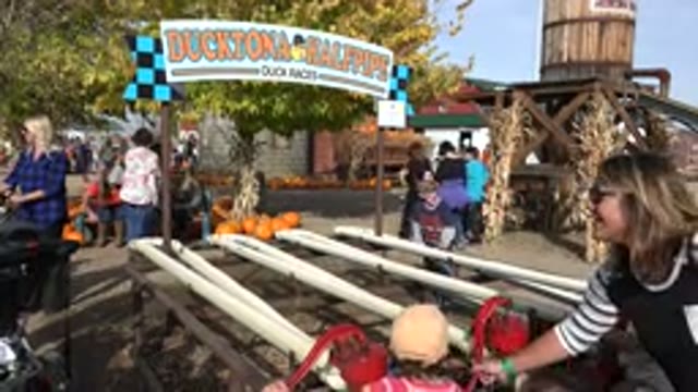 BRIGHTON COLORADO-2015: Family Having Fun In A Park