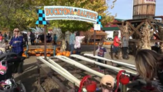 BRIGHTON COLORADO-2015: A Fun Day To Enjoy With The Whole Family At Country Fair
