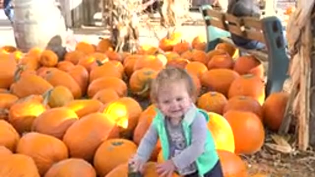 BRIGHTON COLORADO-2015: Little Baby Girl In A Green Jacket Smiling While In