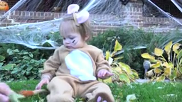 WESTMINSTER COLORADO-2015: Baby Girl Wearing a Lion Costume